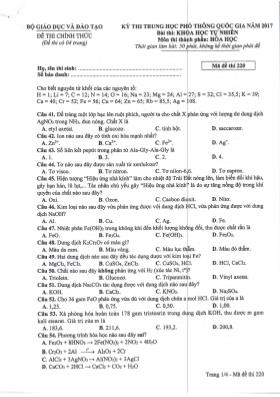 Đề thi Trung học phổ thông Quốc gia môn Hóa học năm 2017 - Mã đề 220